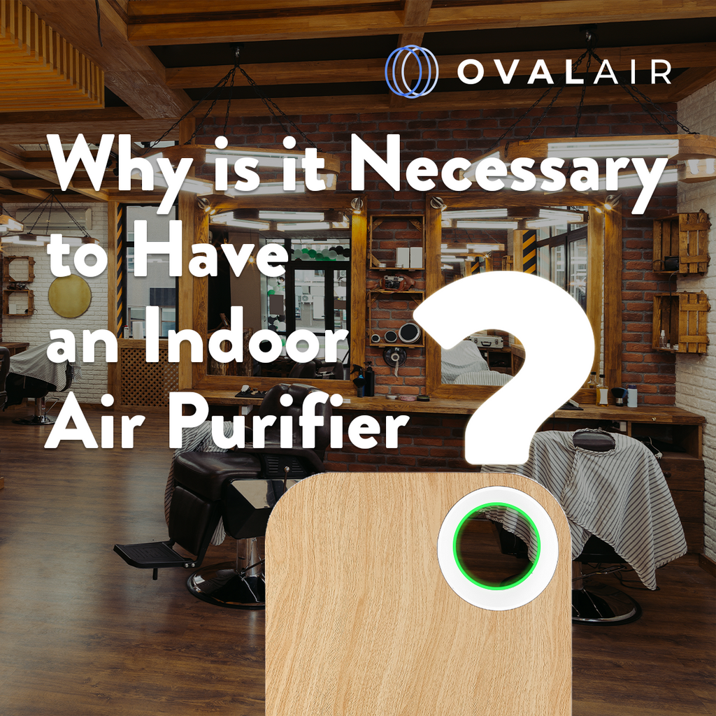 Why Is It Necessary to Have an Indoor Air Purifier?