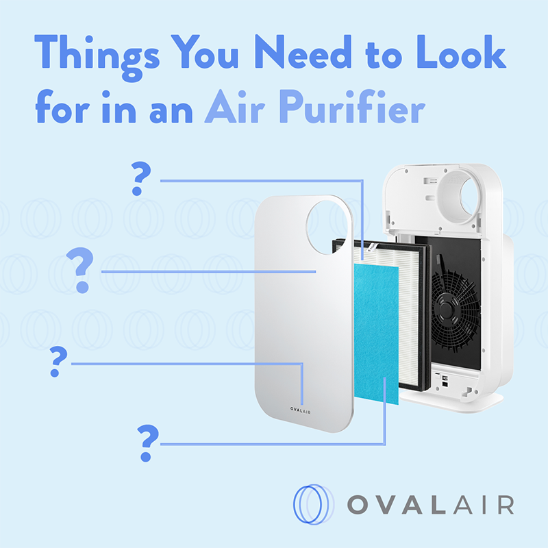 Things you Need to Look for in an Air Purifier