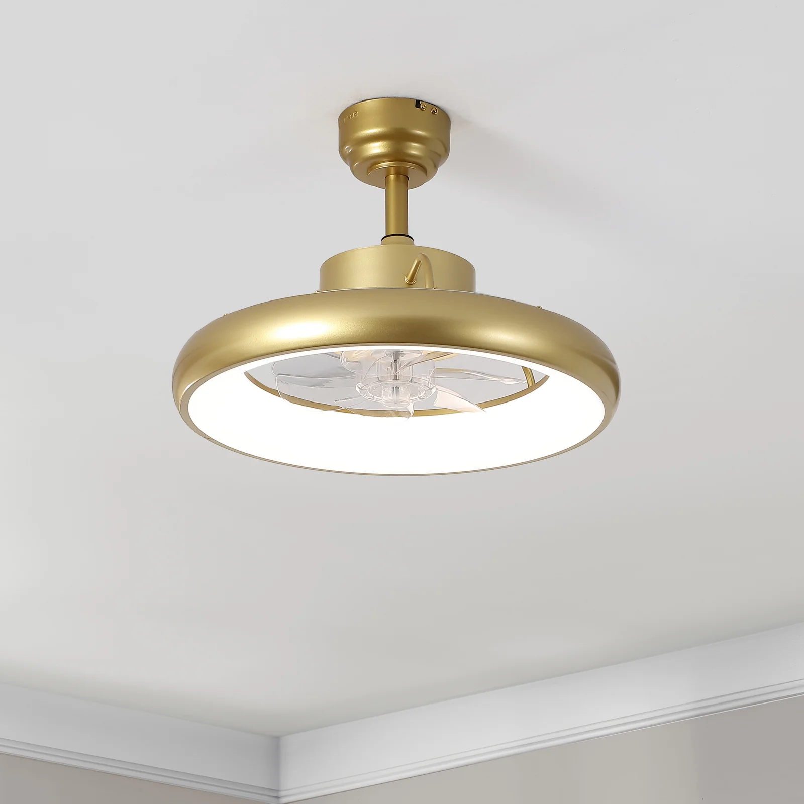 Ceiling Fans