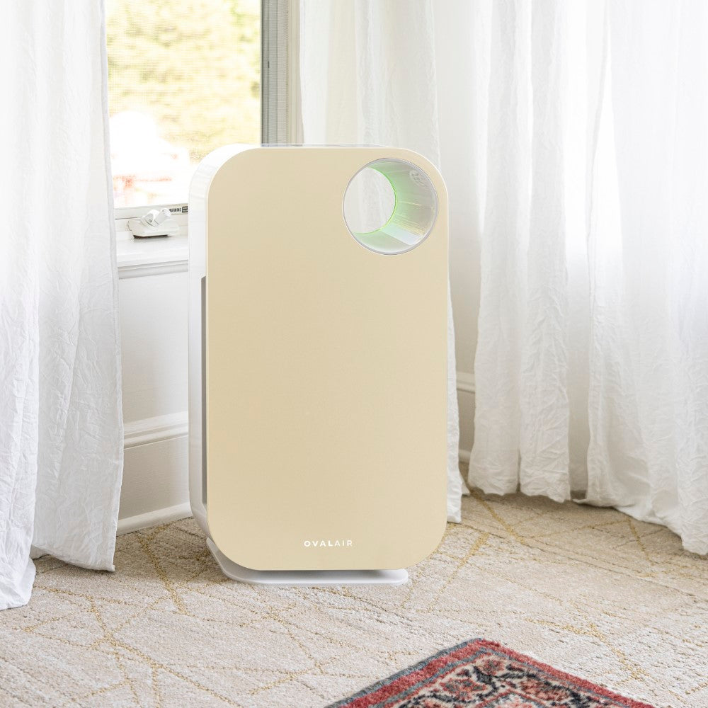 Oval Air Purifier