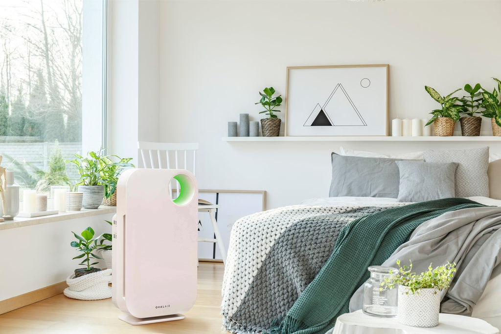 Air Purifiers vs Air Purifying Plants: Which is the Best Choice for Your Home