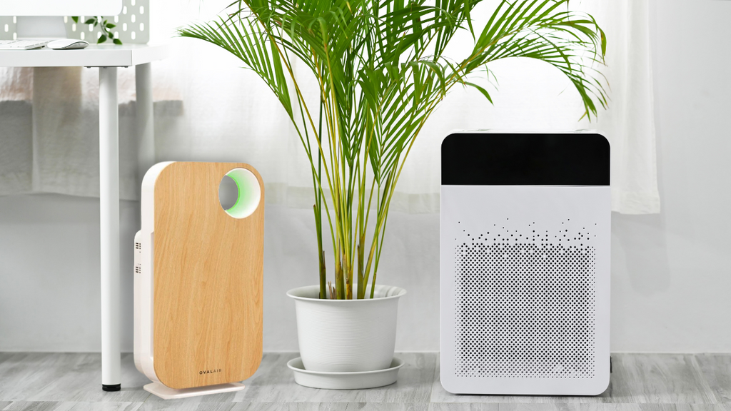 The difference between HEPA and non-HEPA air purifiers
